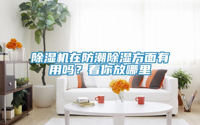 除濕機在防潮除濕方面有用嗎？看你放哪里