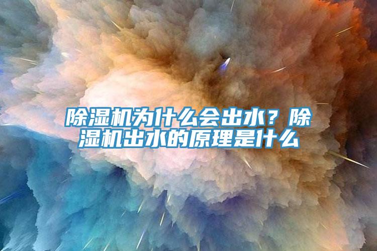 除濕機為什么會(huì )出水？除濕機出水的原理是什么