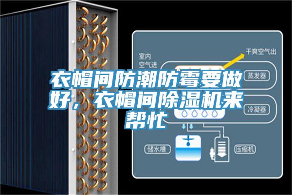 衣帽間防潮防霉要做好，衣帽間除濕機來(lái)幫忙