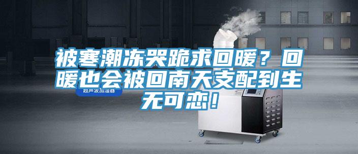被寒潮凍哭跪求回暖？回暖也會(huì )被回南天支配到生無(wú)可戀！