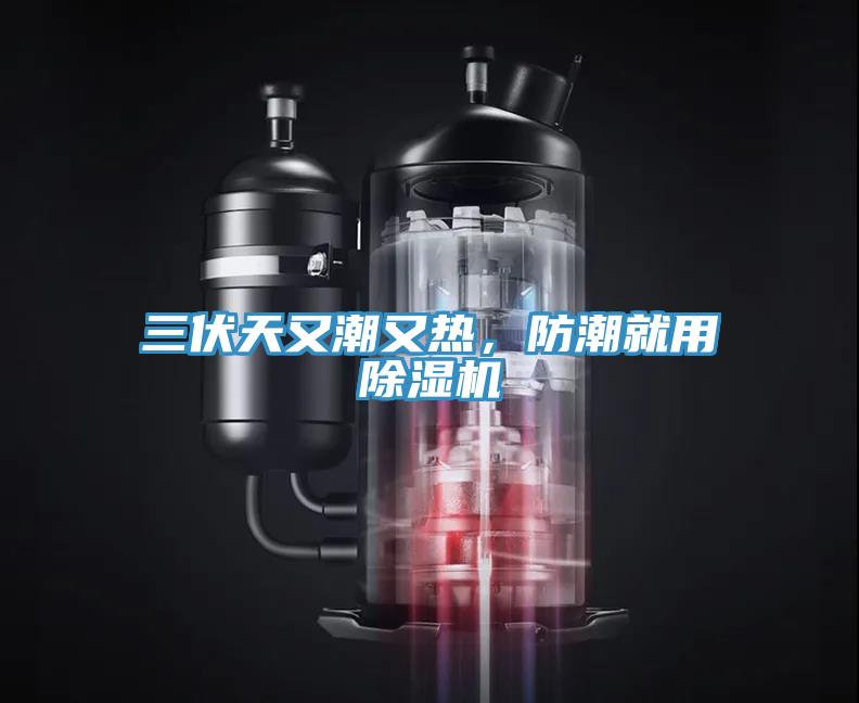 三伏天又潮又熱，防潮就用除濕機
