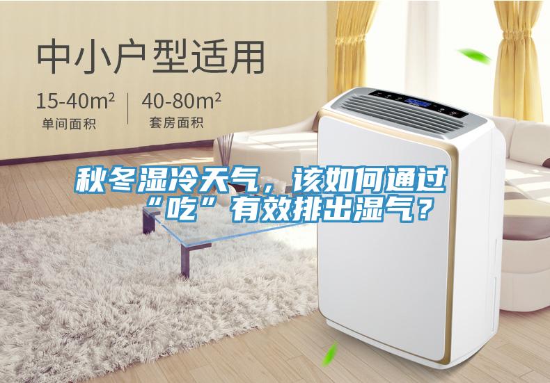 秋冬濕冷天氣，該如何通過(guò)“吃”有效排出濕氣？