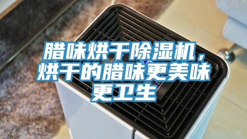 臘味烘干除濕機，烘干的臘味更美味更衛生