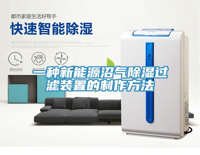 一種新能源沼氣除濕過(guò)濾裝置的制作方法