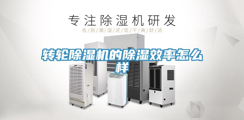 轉輪除濕機的除濕效率怎么樣