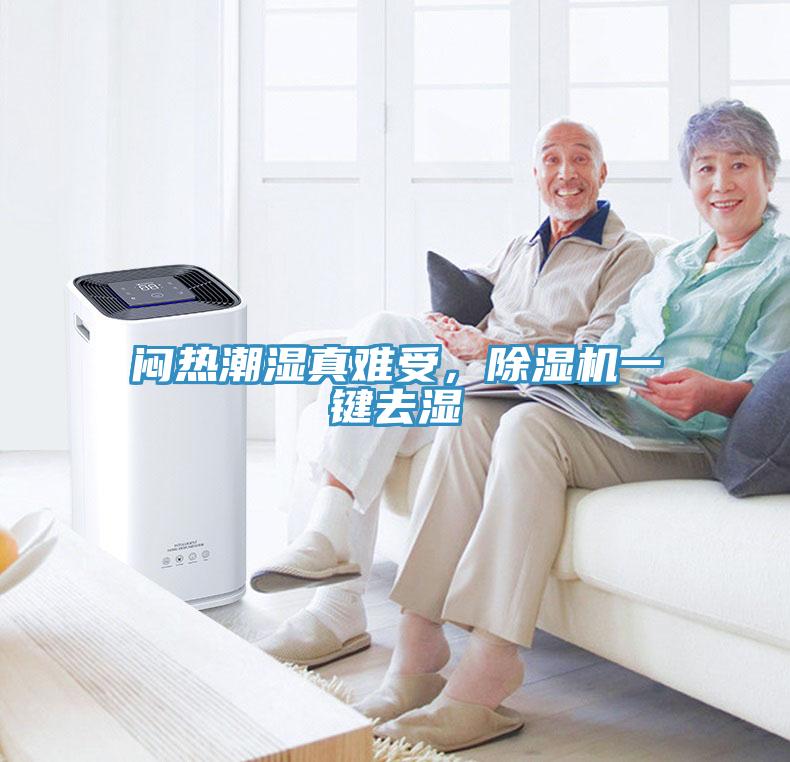 悶熱潮濕真難受，除濕機一鍵去濕