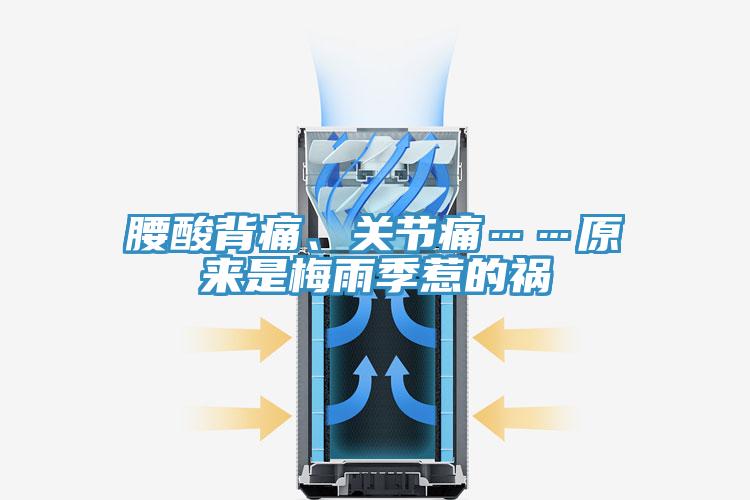 腰酸背痛、關(guān)節痛……原來(lái)是梅雨季惹的禍