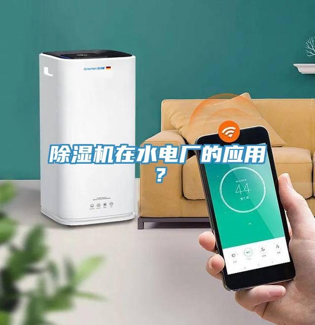 除濕機在水電廠(chǎng)的應用？