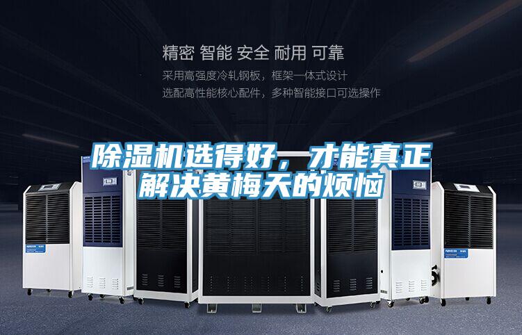 除濕機選得好，才能真正解決黃梅天的煩惱