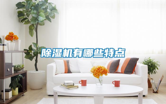 除濕機有哪些特點(diǎn)