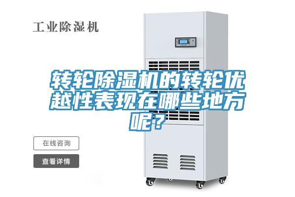 轉輪除濕機的轉輪優(yōu)越性表現在哪些地方呢？