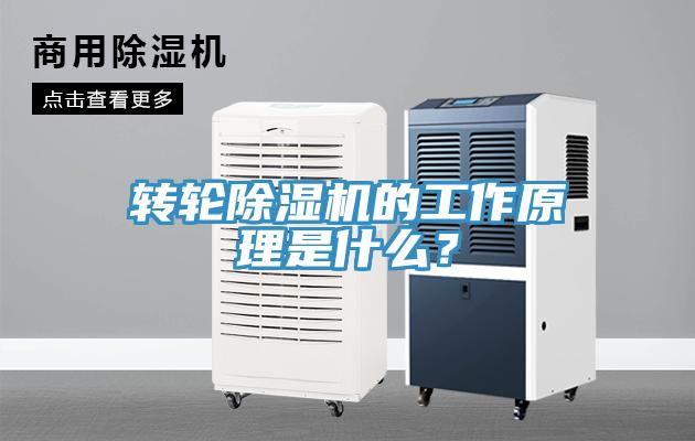 轉輪除濕機的工作原理是什么？