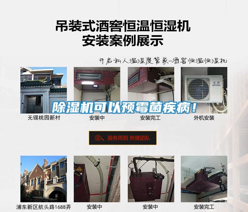 除濕機可以預霉菌疾??！