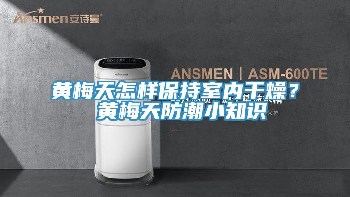 黃梅天怎樣保持室內干燥？ 黃梅天防潮小知識