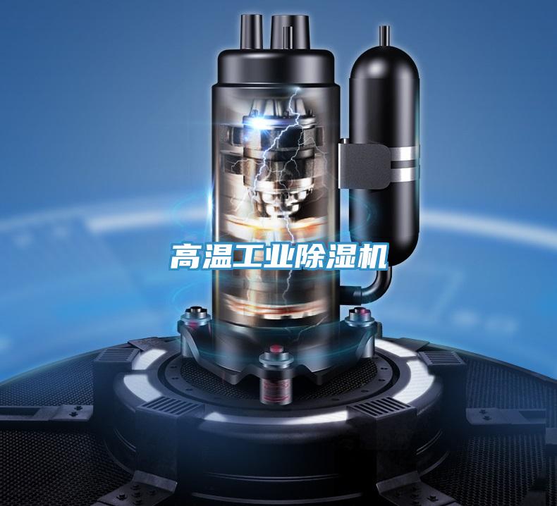 高溫工業(yè)除濕機