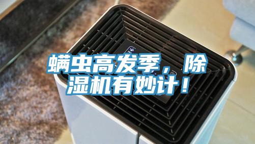 螨蟲(chóng)高發(fā)季，除濕機有妙計！