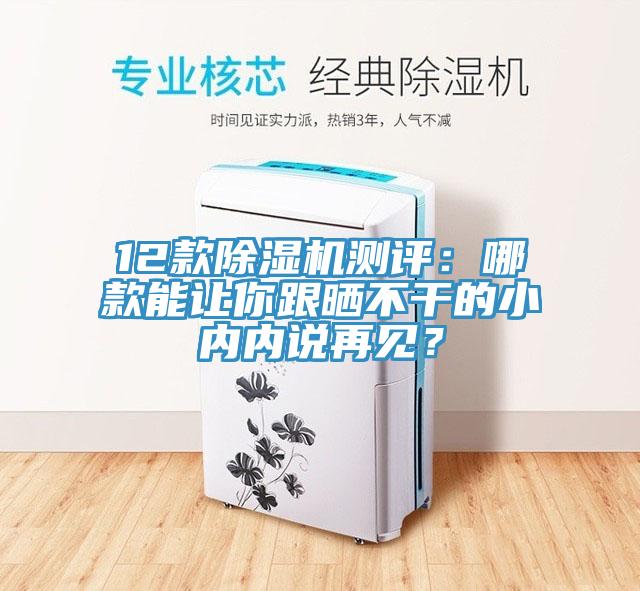 12款除濕機測評：哪款能讓你跟曬不干的小內內說(shuō)再見(jiàn)？