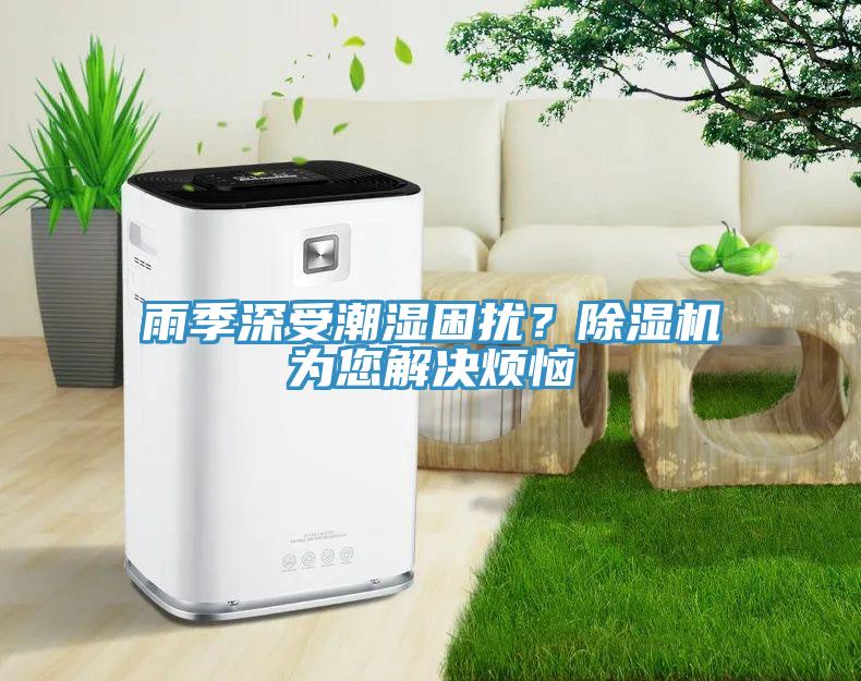 雨季深受潮濕困擾？除濕機為您解決煩惱