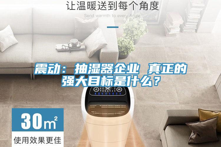 震動(dòng)：抽濕器企業(yè) 真正的強大目標是什么？