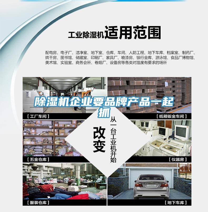 除濕機企業(yè)要品牌產(chǎn)品一起抓