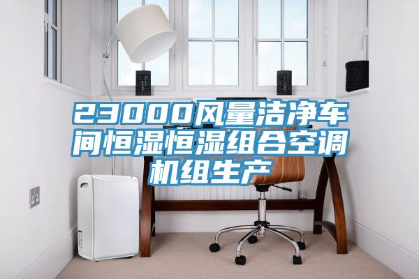 23000風(fēng)量潔凈車(chē)間恒濕恒濕組合空調機組生產(chǎn)