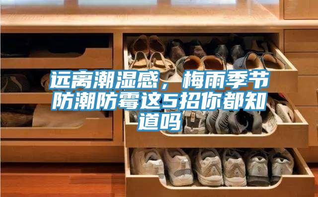 遠離潮濕感，梅雨季節防潮防霉這5招你都知道嗎