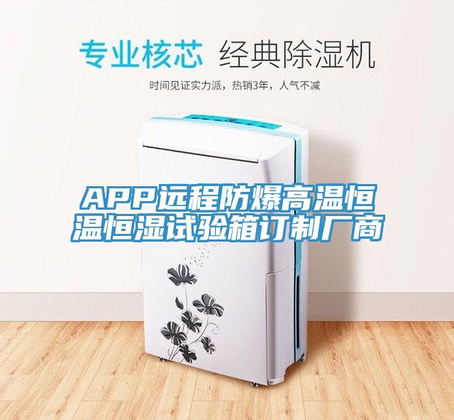 APP遠程防爆高溫恒溫恒濕試驗箱訂制廠(chǎng)商