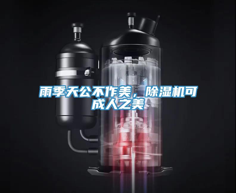 雨季天公不作美，除濕機可成人之美