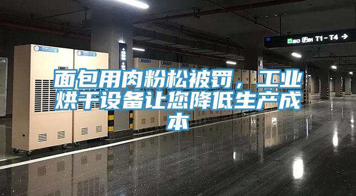 面包用肉粉松被罰，工業(yè)烘干設備讓您降低生產(chǎn)成本