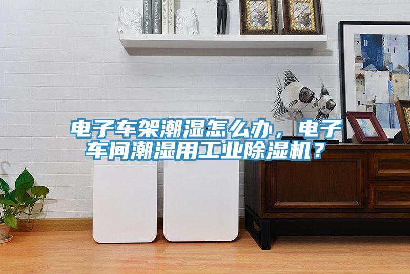 電子車(chē)架潮濕怎么辦，電子車(chē)間潮濕用工業(yè)除濕機？