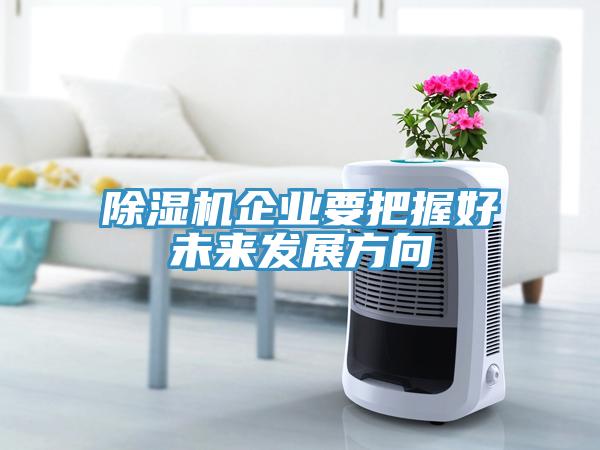 除濕機企業(yè)要把握好未來(lái)發(fā)展方向