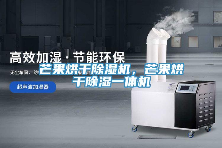 芒果烘干除濕機，芒果烘干除濕一體機