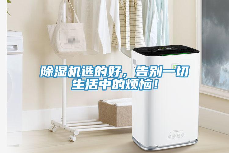 除濕機選的好，告別一切生活中的煩惱！
