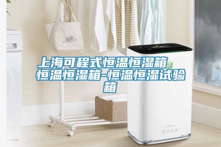 上?？沙淌胶銣睾銤裣? 恒溫恒濕箱-恒溫恒濕試驗箱