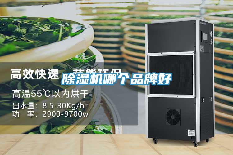 除濕機哪個(gè)品牌好