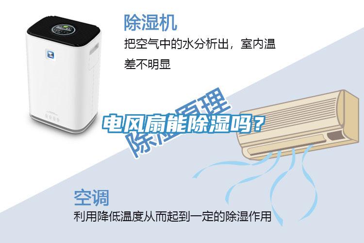 電風(fēng)扇能除濕嗎？