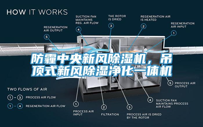 防霾中央新風(fēng)除濕機，吊頂式新風(fēng)除濕凈化一體機