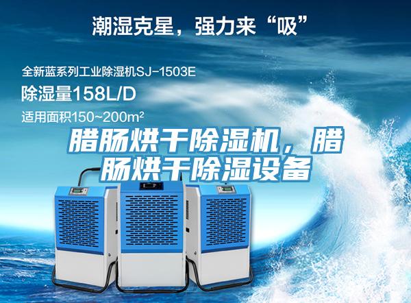 臘腸烘干除濕機，臘腸烘干除濕設備