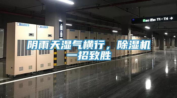 陰雨天濕氣橫行，除濕機一招致勝
