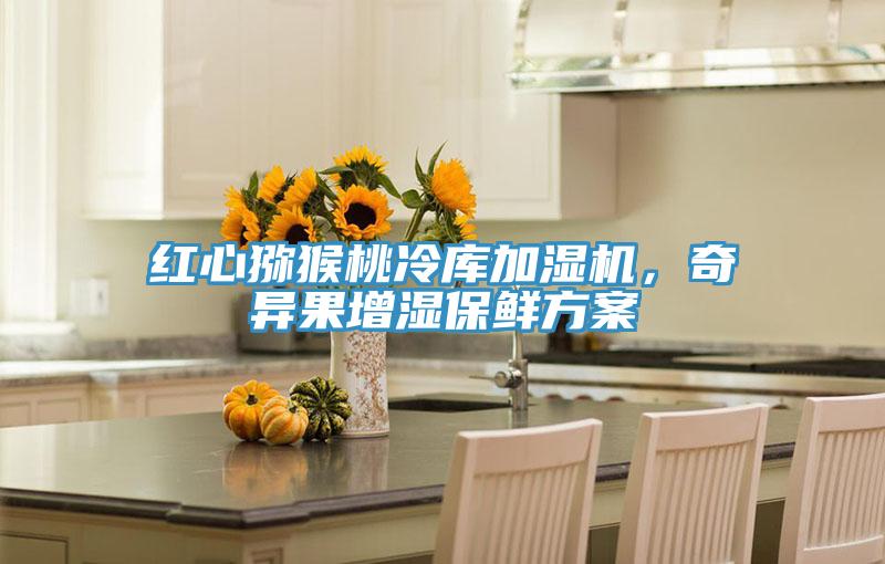 紅心獼猴桃冷庫加濕機，奇異果增濕保鮮方案