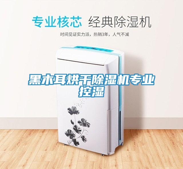黑木耳烘干除濕機專(zhuān)業(yè)控濕