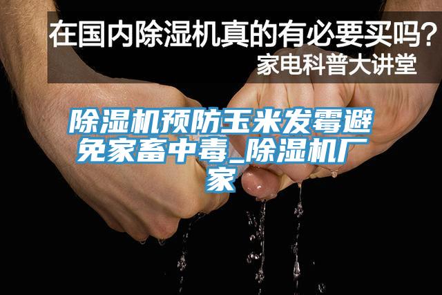 除濕機預防玉米發(fā)霉避免家畜中毒_除濕機廠(chǎng)家