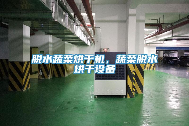 脫水蔬菜烘干機，蔬菜脫水烘干設備