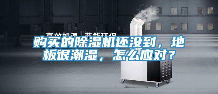 購買(mǎi)的除濕機還沒(méi)到，地板很潮濕，怎么應對？