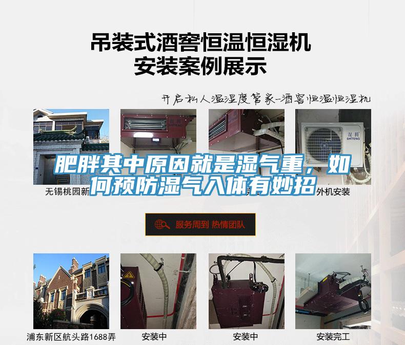 肥胖其中原因就是濕氣重，如何預防濕氣入體有妙招
