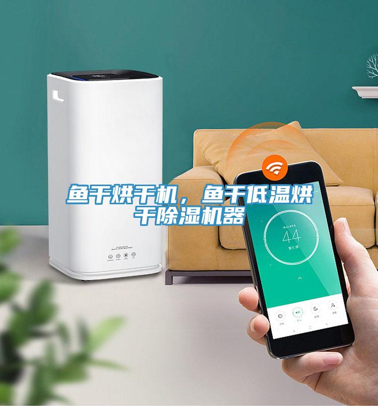 魚(yú)干烘干機，魚(yú)干低溫烘干除濕機器