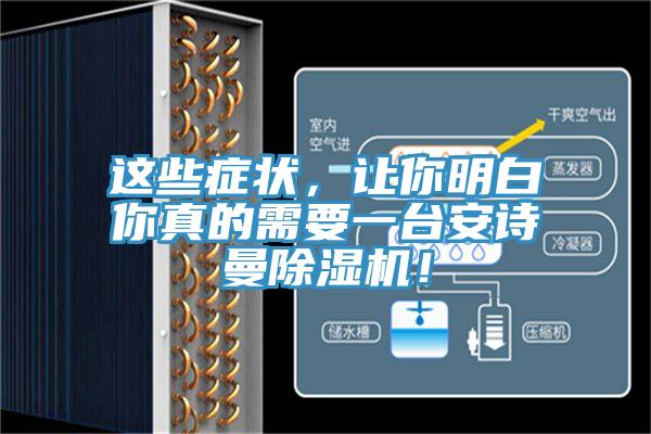 這些癥狀，讓你明白你真的需要一臺安詩(shī)曼除濕機！