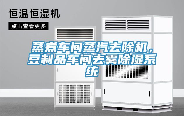 蒸煮車(chē)間蒸汽去除機，豆制品車(chē)間去霧除濕系統
