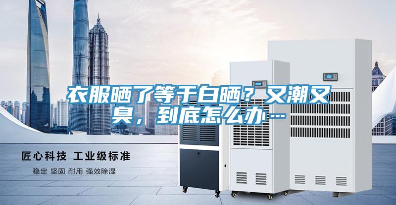 衣服曬了等于白曬？又潮又臭，到底怎么辦…