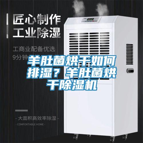 羊肚菌烘干如何排濕？羊肚菌烘干除濕機